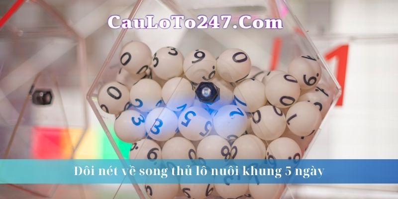 doi-net-song-thu-lo-nuoi-khung-5-ngay